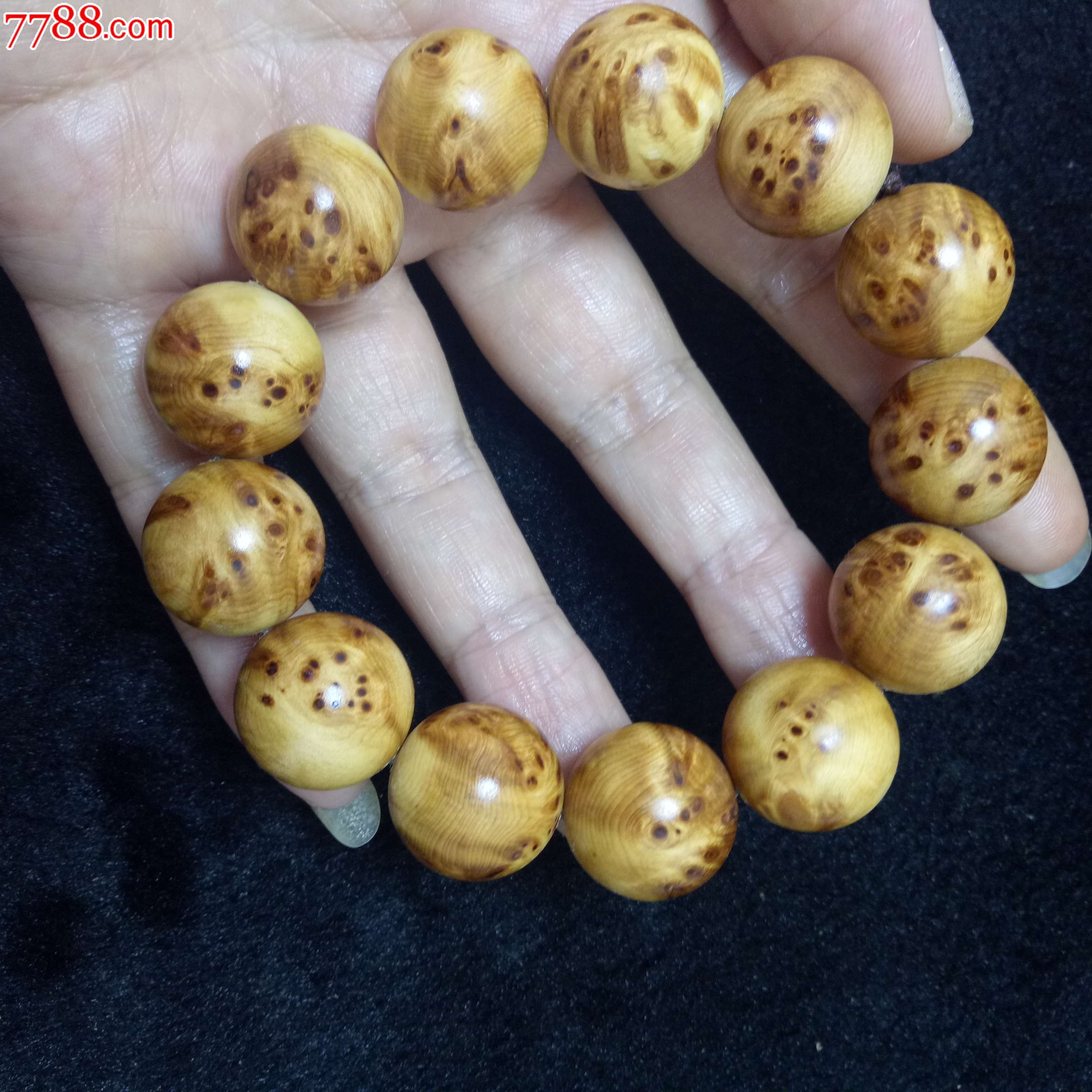 热身-妖童世界波2000万新援首秀 AC米兰5-1|beat365在线登录官网(图3) beat365在线登录官网