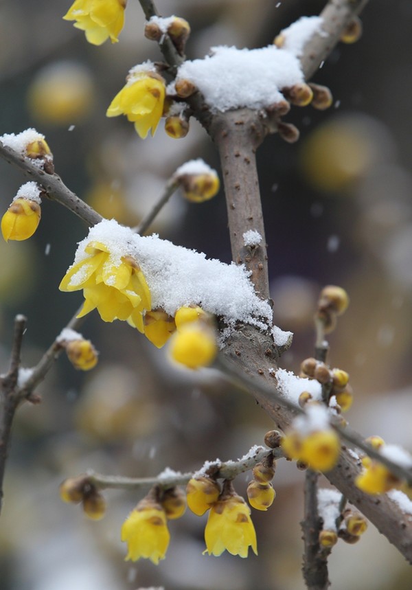 曼奇尼:裁判漏判国米点球 米兰拿平局已足够幸运【beat365】(图1)