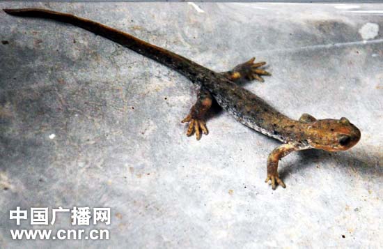 beat365在线官网登录