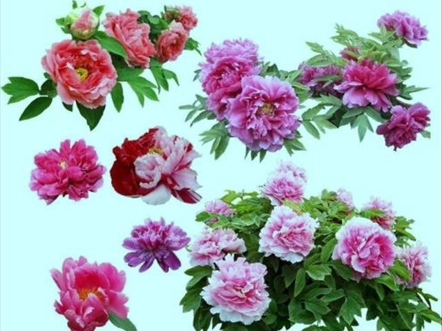 beat365在线登录官网