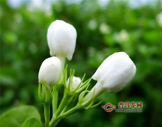 beat365在线官网登录_全民K歌全力打造音乐新势力 再献好歌声(图1) beat365在线登录官网