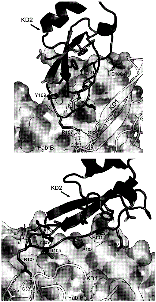 beat365在线登录官网