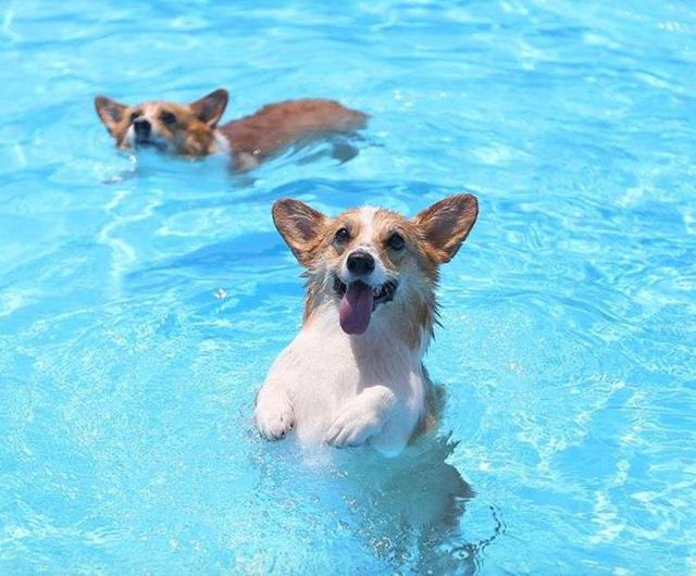 C罗身陷强奸案引发连锁反应 尤文躺枪股价暴跌:beat365在线官网登录(图4) beat365在线官网登录