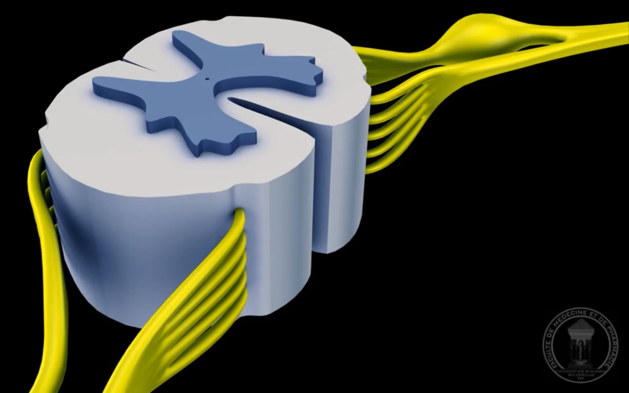 beat365在线官网登录