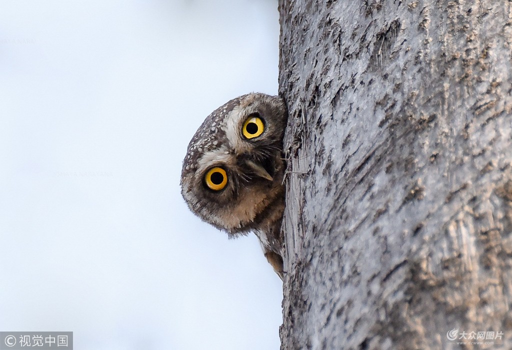 beat365在线官网登录