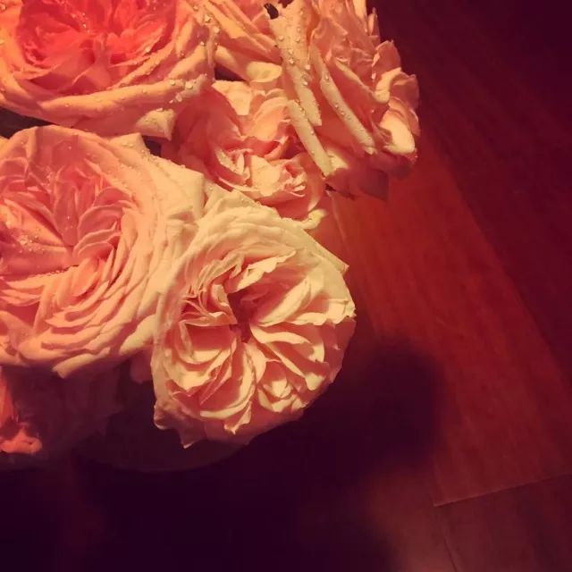 beat365在线登录官网