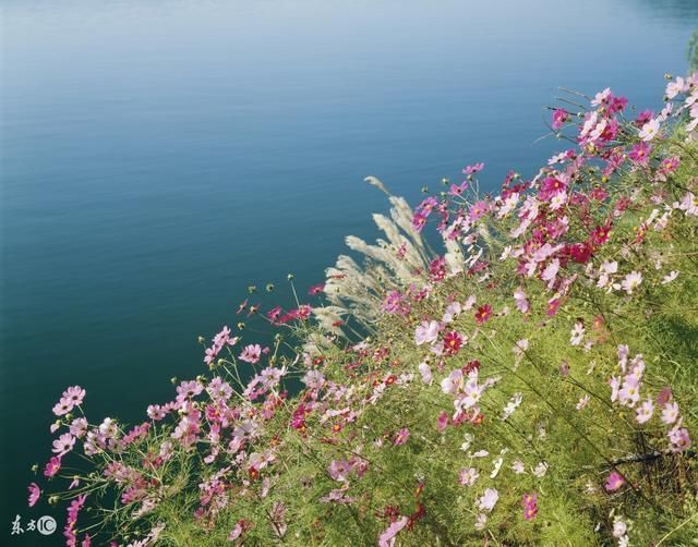 beat365在线官网登录