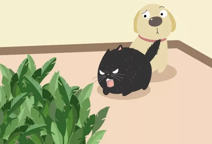 五月天「Mayday 2019-2020 Just Rock It!!!“蓝 | BLUE”」回归初心 !|beat365在线登录官网(图3) beat365在线登录官网