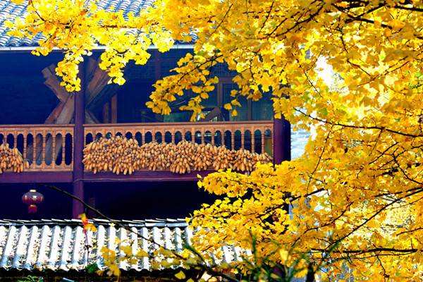 【beat365在线官网登录】巴神狂奔拦截人过球不过 断球后霸气走几步(图2)