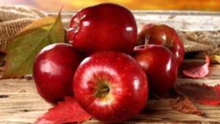 Jeffrey董又霖新歌首发|一个人去巴黎‘beat365在线登录官网’(图3)