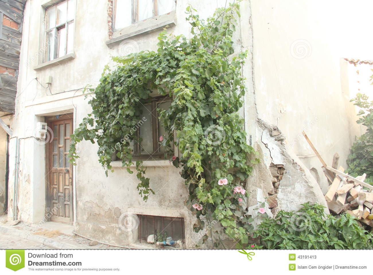 beat365在线登录官网|为真实而作的歌 颜子专辑《不是我要的？！》叩问心灵(图1)