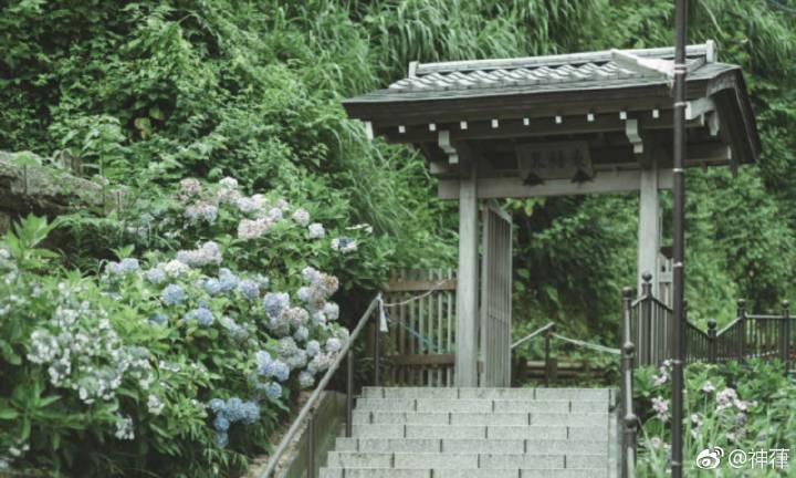 杨朗朗《Woo Hoo》首发  颠覆曲风制造炫酷试听冲击“beat365在线登录官网”(图3)